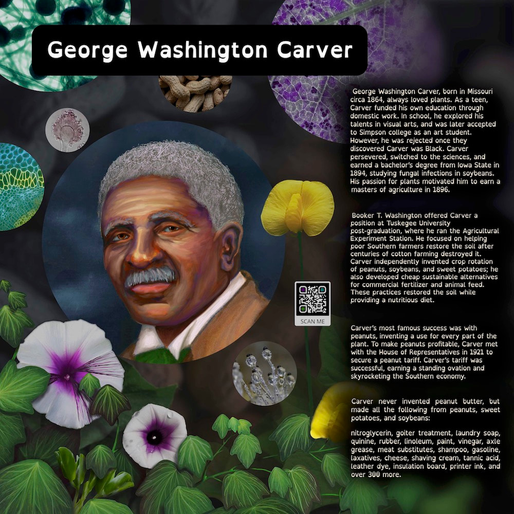 Artists portrait of Dr. George Washington Carver