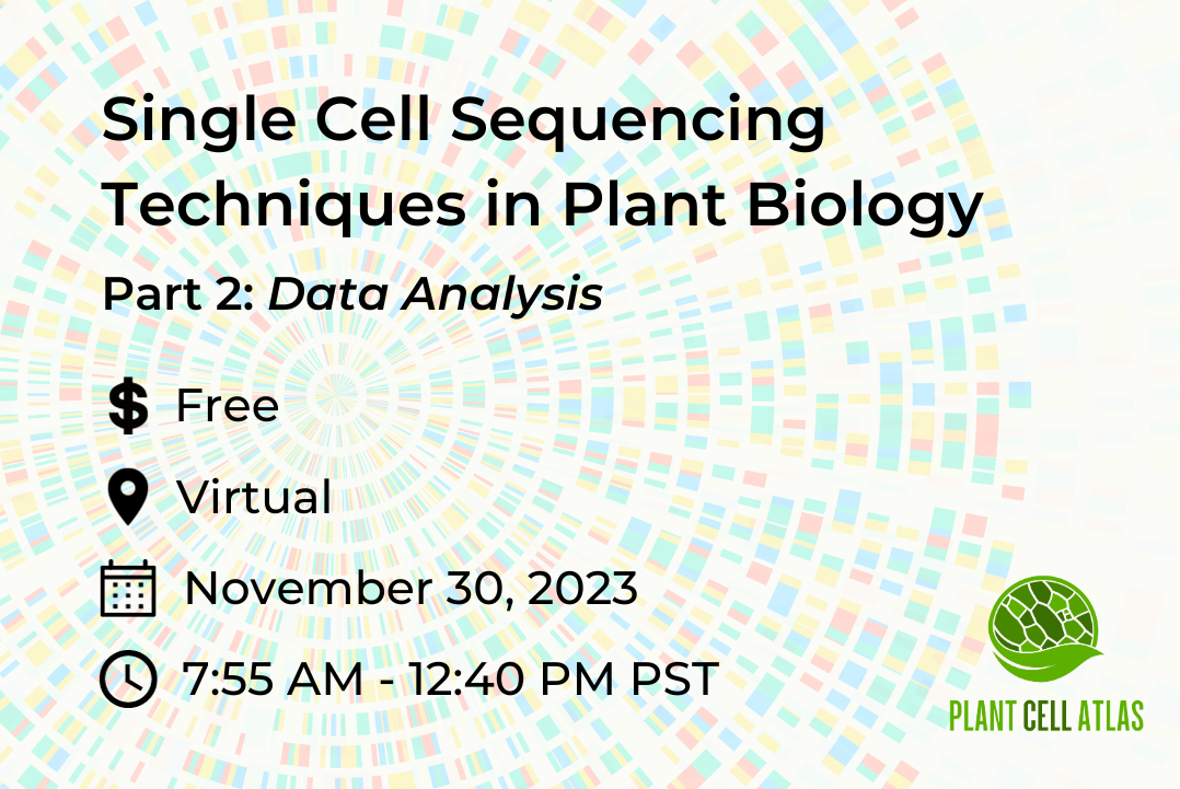 Promo image for the Single Cell Sequencing Techniques in Plant Biology workshop Part 2: Data Analysis. This free, virtual workshop will be held on November 30, 2023 from 7:55 AM to 12:40 PM Pacific time.