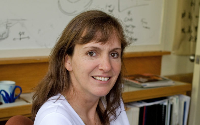 Headshot of Marja Timmermans, ​PhD